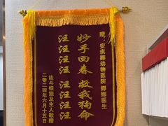 -安琪娜动物医院•健康管理•骨科•急重症诊疗中心