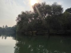 -西溪国家湿地公园