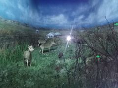 -吉林省自然博物馆