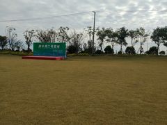 -春花秋色城市公园