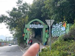 -南山植物园