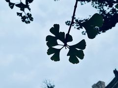 -梨花牛肉汤饭(仁恒伊势丹店)