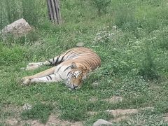 -西安秦岭野生动物园