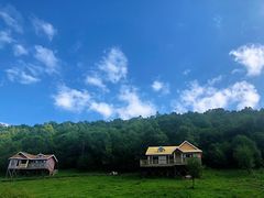 -关山草原