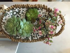 -YUE.庄悦皮肤身体管理中心