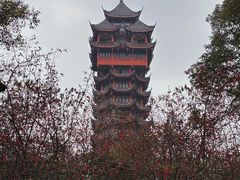 -塔子山公园