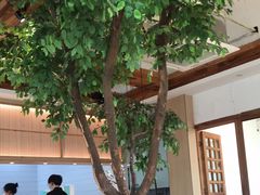 -蜜桃餐厅·伴山(湖滨商业街店)