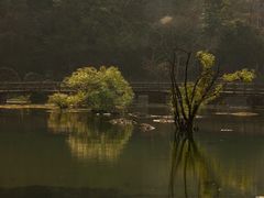 -靖西鹅泉风景区
