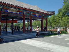 -西海子公园