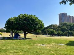 -红花山公园