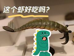 -辽宁古生物博物馆