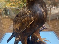 -陕西自然博物馆