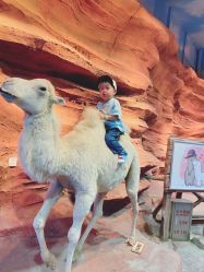 -酷嗒动物文化乐园(cutezoo西溪乐天城店)