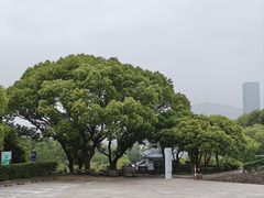 -诸暨博物馆
