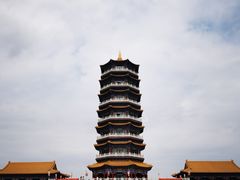 -金塔沙漠胡杨林景区