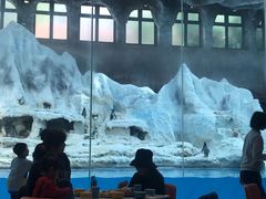 -帝企鹅自助餐厅•儿童岛•真企鹅(长隆企鹅酒店)