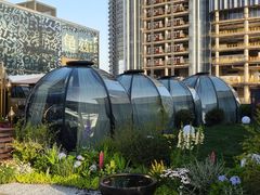 -龟兹KUCINA·新疆菜(前滩L+PLAZA店)