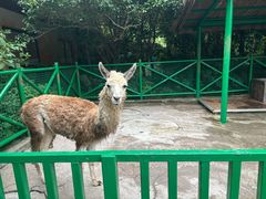 -杭州野生动物世界