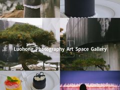 -罗红摄影艺术馆