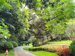 -西双版纳融创皇冠假日度假酒店