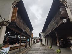 -乌镇东栅景区