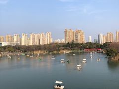-青枫公园
