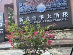 -新成海港大酒楼(康华路店)