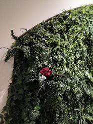 -香秀空间科技抗衰·美容中心