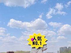 -丁香湖公园