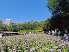 -龙头寺公园