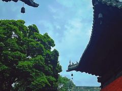 -报恩寺(平武县)