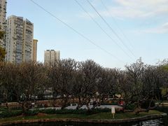 -晓港公园
