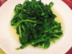 酒香豆苗-老吉士酒家(天平路店)
