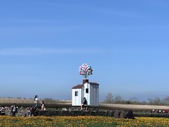 -江苏三台山国家森林公园