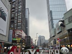 -西月城谭豆花(春熙路店)