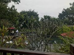-龙山酒店温泉
