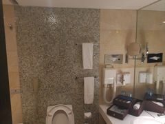 -国家会议中心大酒店