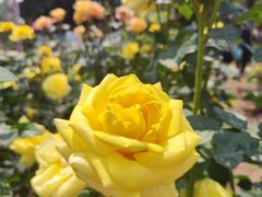 -人民公园(罗湖区)