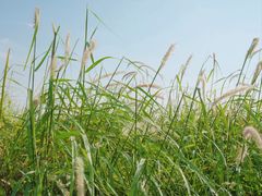 -汉长安城未央宫国家考古遗址公园