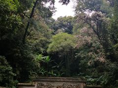 -南华禅寺