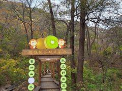 -大岭沟猕猴桃谷风景区