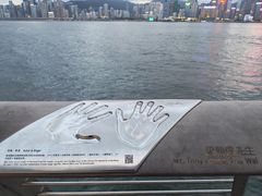 -星光大道