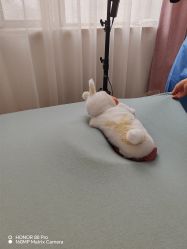 -西瓜庄园儿童摄影