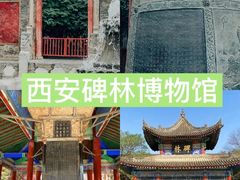 -陕西历史博物馆