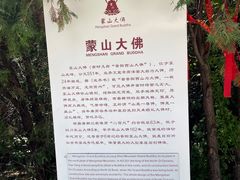 -蒙山大佛景区