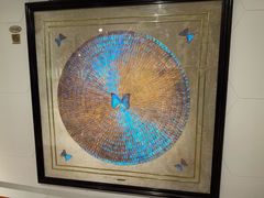 -上海昆虫博物馆