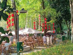 -成都市活水公园