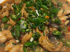 -全乐鱼馆·淳牌有机鱼直营店