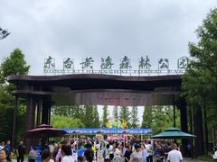 -黄海国家森林公园