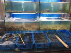 水产区-老东镇啤酒屋海鲜加工·蒸汽海鲜·海鲜烧烤(台东店)
